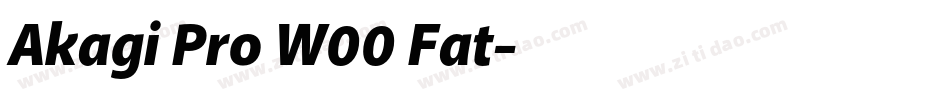 Akagi Pro W00 Fat字体转换